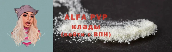 a pvp Тайга