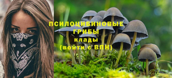 марки nbome Аркадак