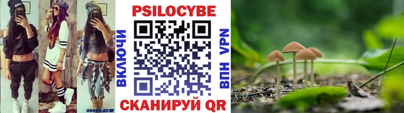Псилоцибиновые грибы Cubensis  Ладушкин 